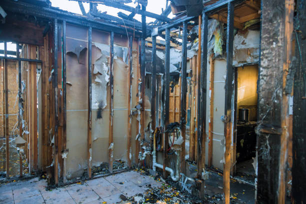 Professional Fire Damage Removal technician working in Mount Ida, AR